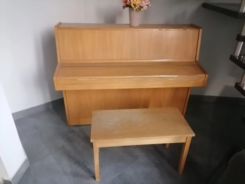 Verticle Piano Heavy - Unsure of brand