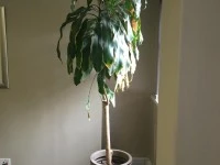 Office move