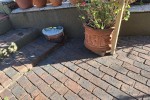 12 Large Pots, Small bench, broom cupboard, folding ladder, Weber