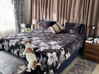 4+ bedroom house move