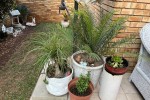 3 bedroom house move