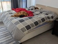 2 bedroom flat move