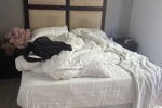 Queen bed with bed head and pedestals, Three quarter bed with bed head...