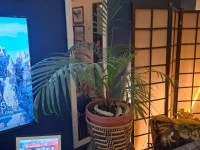 1 bedroom flat move