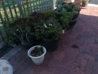 2 bedroom house move