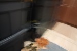 1 bedroom flat move