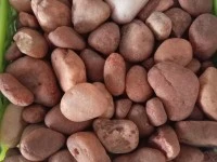 12x20kg bags of Pebbles
