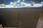 Fish Tank with Stand