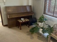 Rippen piano