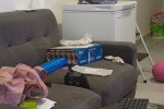2 bedroom flat move