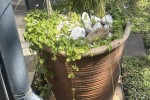 2 bedroom flat move