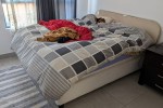 2 bedroom flat move