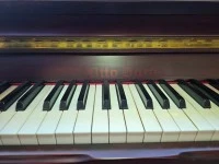 Otto Bach piano