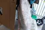 Storage move