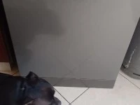 3 bedroom house move