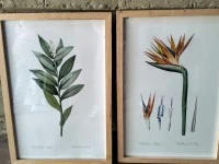 4 prints with wooden frames and glass A3 size., 3 puzzles in wooden fr...