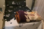 1 bedroom flat move