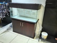Fish Tank
