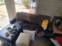 1 bedroom flat move