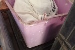 3 bedroom house move