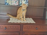 2 bedroom house move