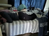 3 bedroom house move