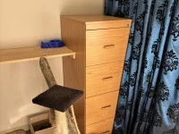 4+ bedroom house move