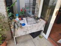 1 bedroom flat move