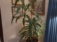 1 bedroom flat move