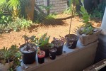 3 bedroom house move