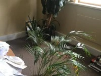 Office move