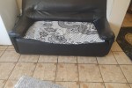 2 bedroom house move
