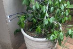 1 bedroom flat move