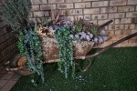 Garden pots with plants, bird cage, barrel, wheel barrow