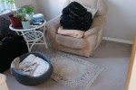 2 bedroom house move