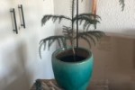 1 bedroom flat move