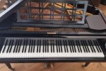 Reno baby grand piano