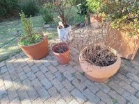 12 Large Pots, Small bench, broom cupboard, folding ladder, Weber