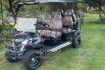 Golf cart