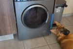 2 bedroom flat move