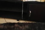 Double Bed Queen Size, Fridge small 154 L, Washing Machine Top loader,...