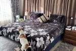4+ bedroom house move