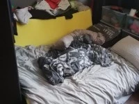 1 bedroom house move