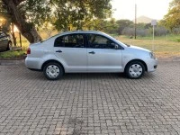 Polo Vivo