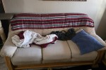 3 bedroom flat move