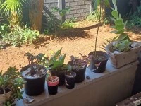 3 bedroom house move