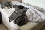 3 bedroom flat move