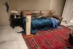 2 bedroom flat move