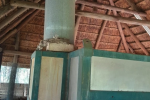 Pottery kiln and Kiln Shelves