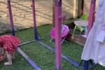 4+ bedroom house move